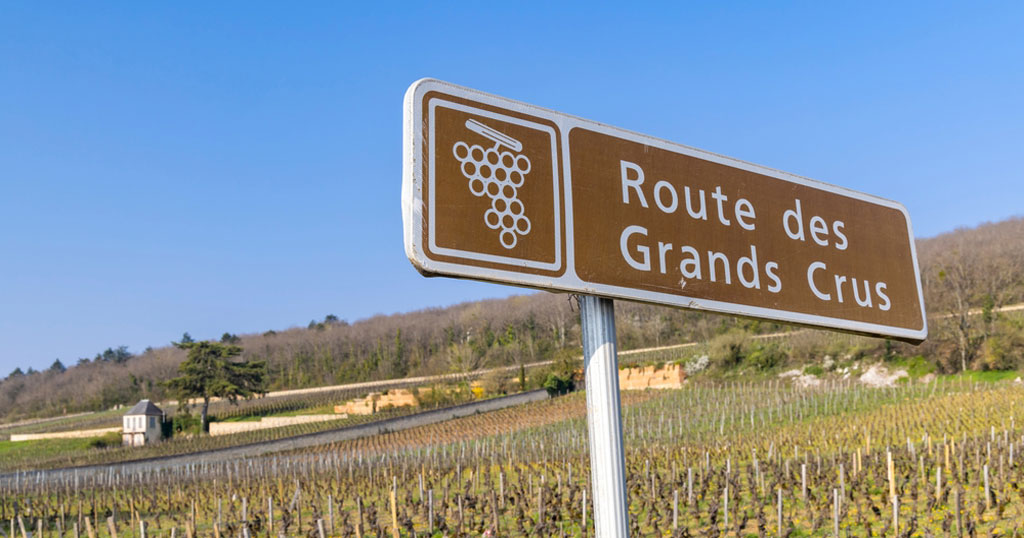 foto mostra uma placa no parreiral escrito grand cru rota